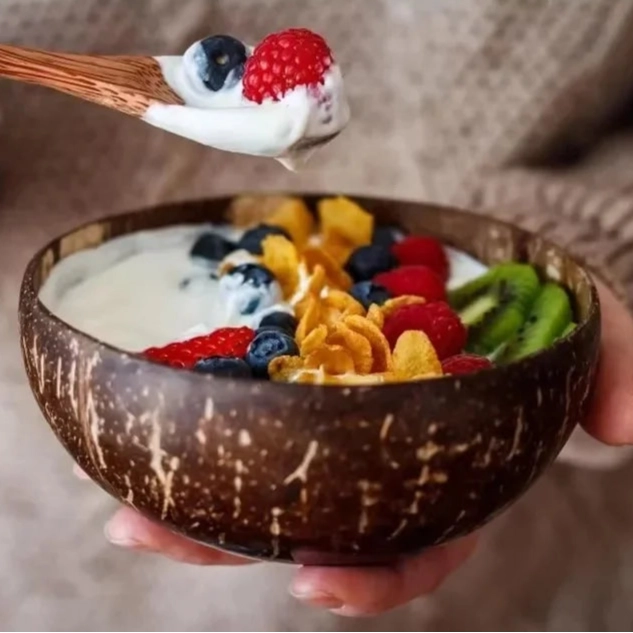 Rustic Coconut Shell Bowl and Spoon Set