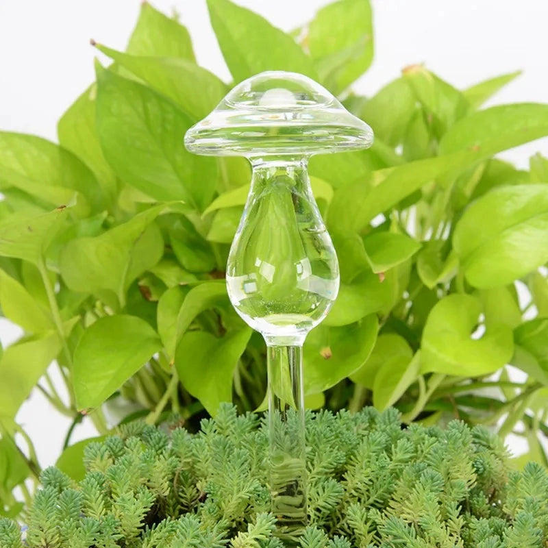 Glass Self-Watering Plant Decor