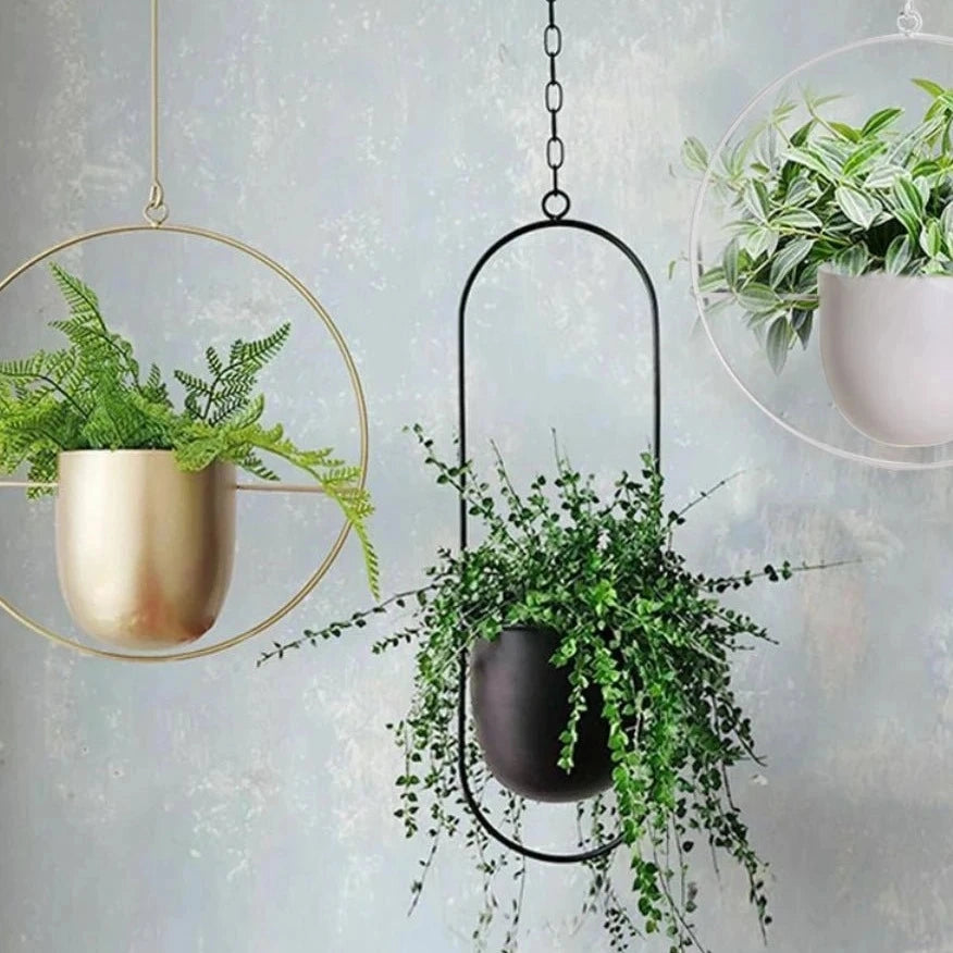 Halo Hanging Plant Pot
