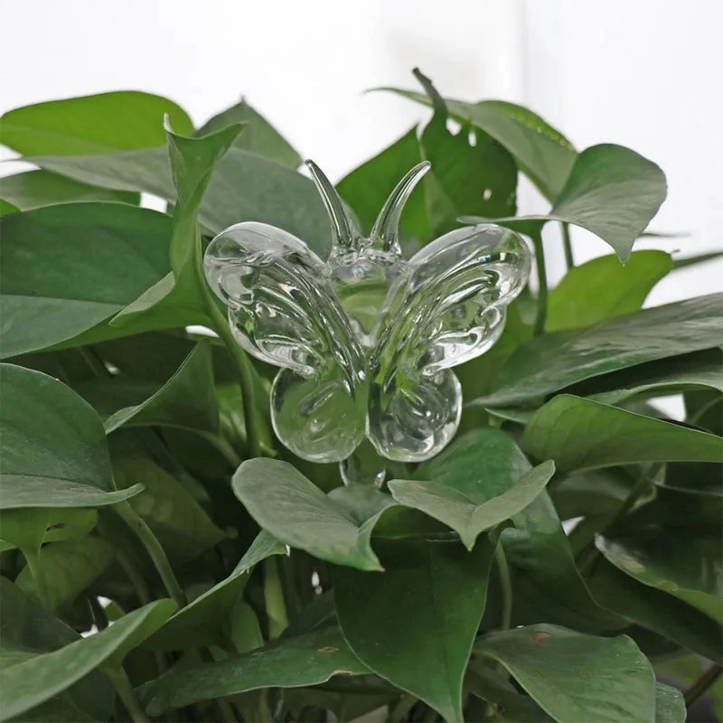 Glass Self-Watering Plant Decor