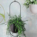 Halo Hanging Plant Pot