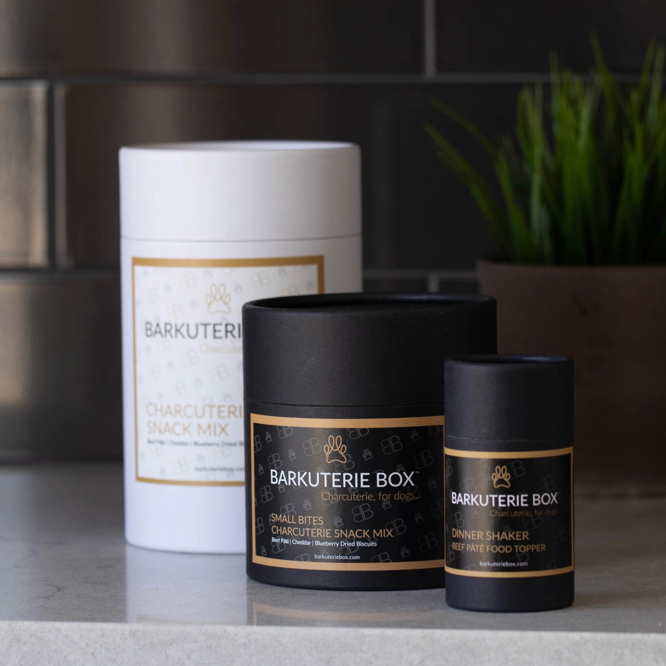 Charcuterie/Barkcuterie Dog Treat Canisters