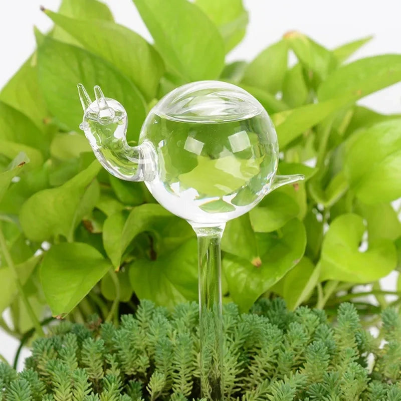 Glass Self-Watering Plant Decor