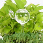 Glass Self-Watering Plant Decor