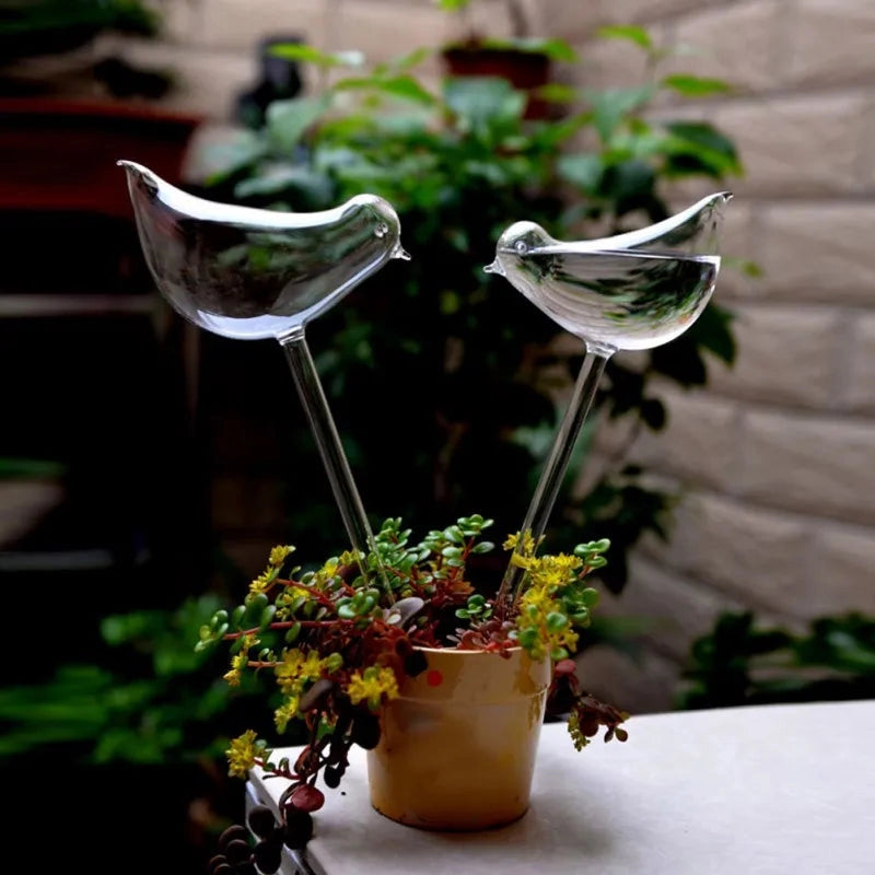 Glass Self-Watering Plant Decor