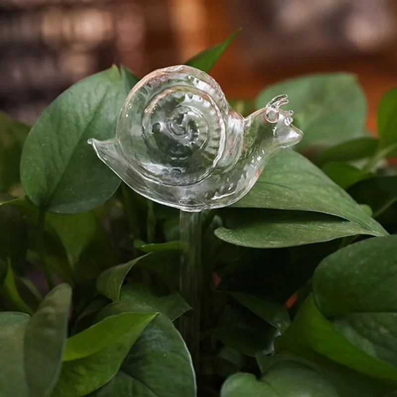 Glass Self-Watering Plant Decor