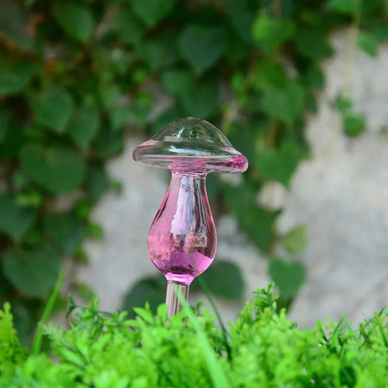 Glass Self-Watering Plant Decor