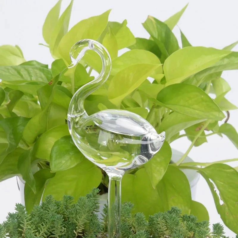 Glass Self-Watering Plant Decor