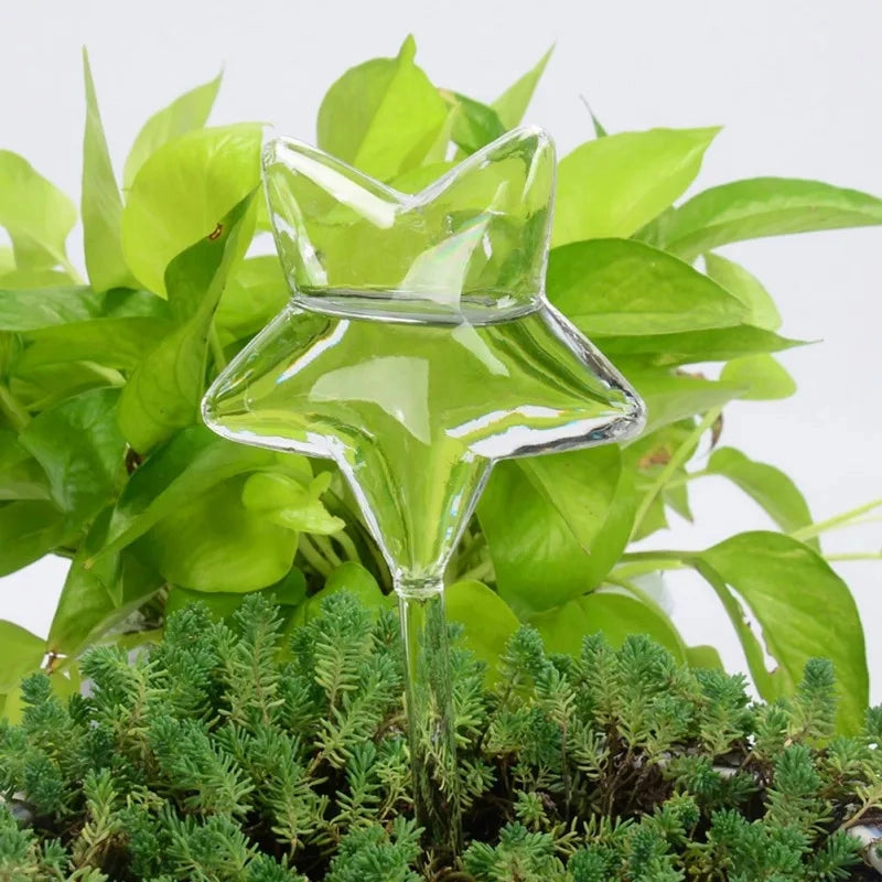 Glass Self-Watering Plant Decor