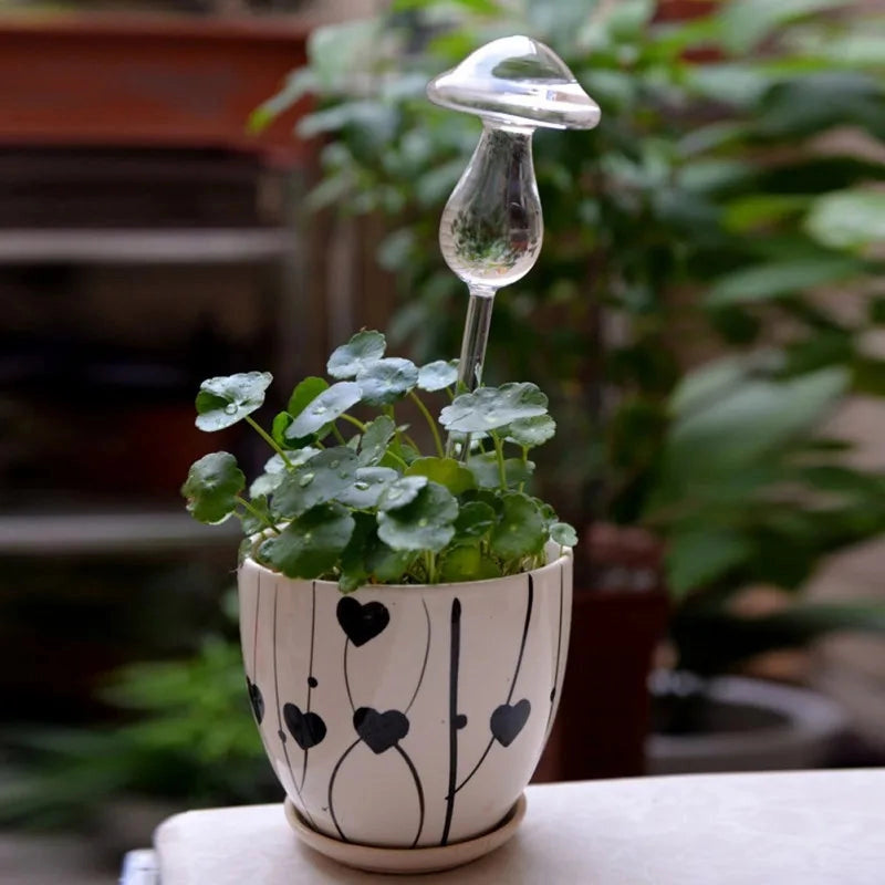Glass Self-Watering Plant Decor