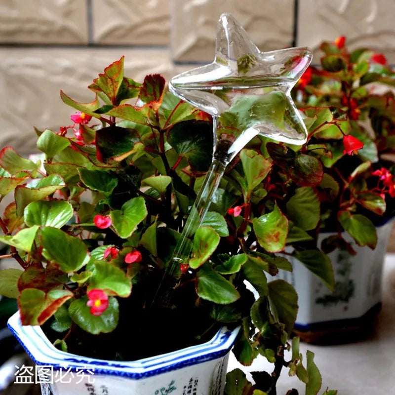 Glass Self-Watering Plant Decor
