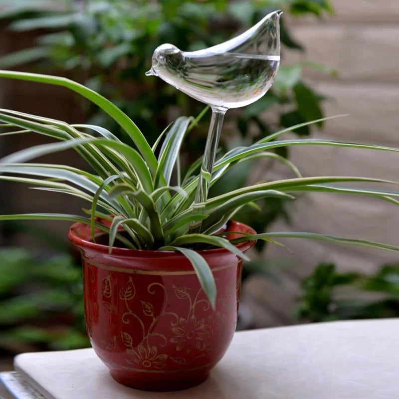 Glass Self-Watering Plant Decor