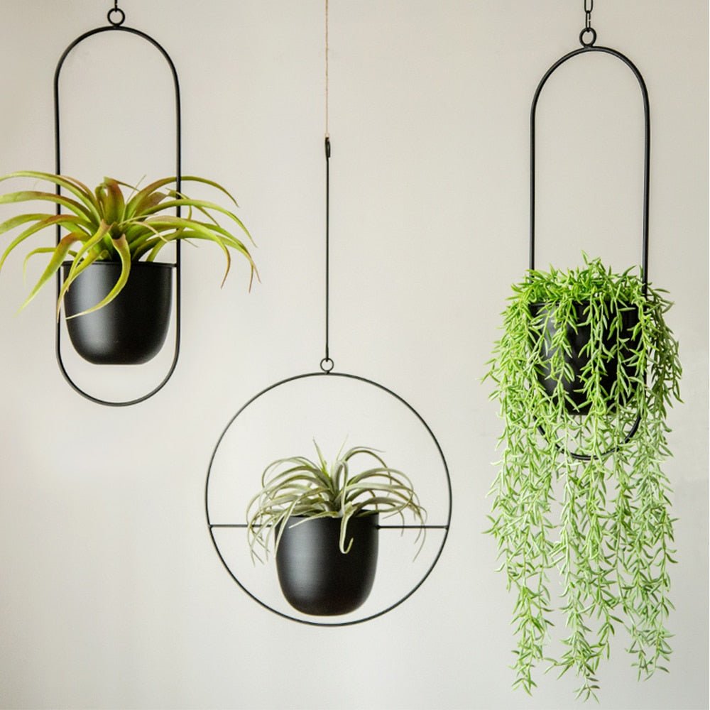 Halo Hanging Plant Pot