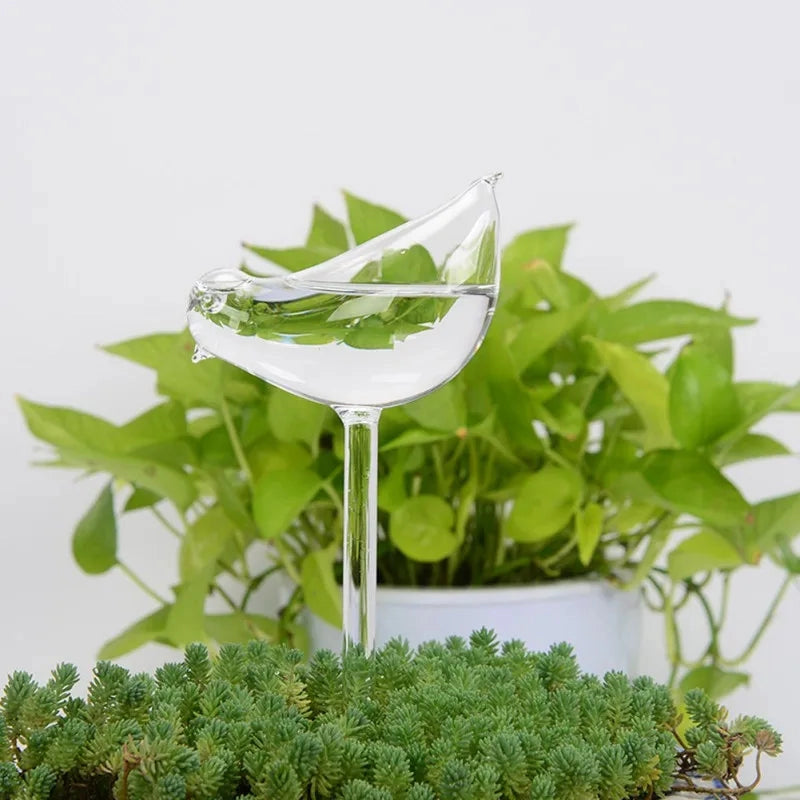 Glass Self-Watering Plant Decor